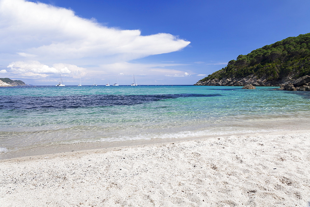 Fetovaia Beach, Island of Elba, Livorno Province, Tuscany, Italy, Europe