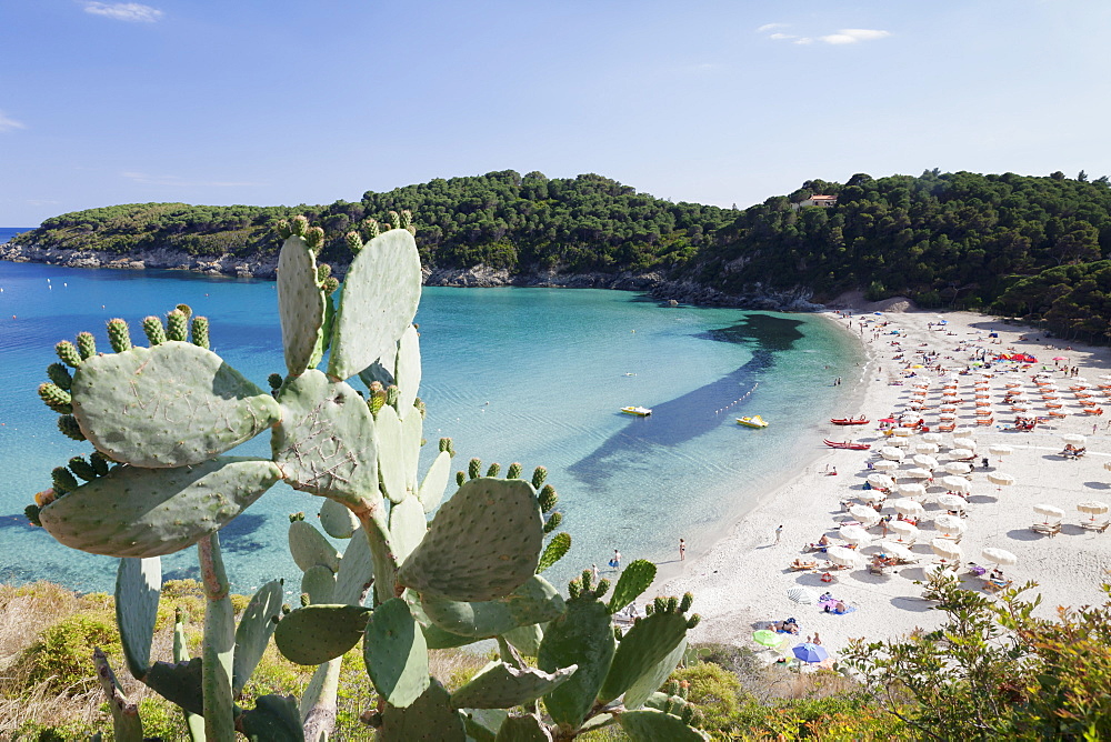 Fetovaia Beach, Island of Elba, Livorno Province, Tuscany, Italy, Europe