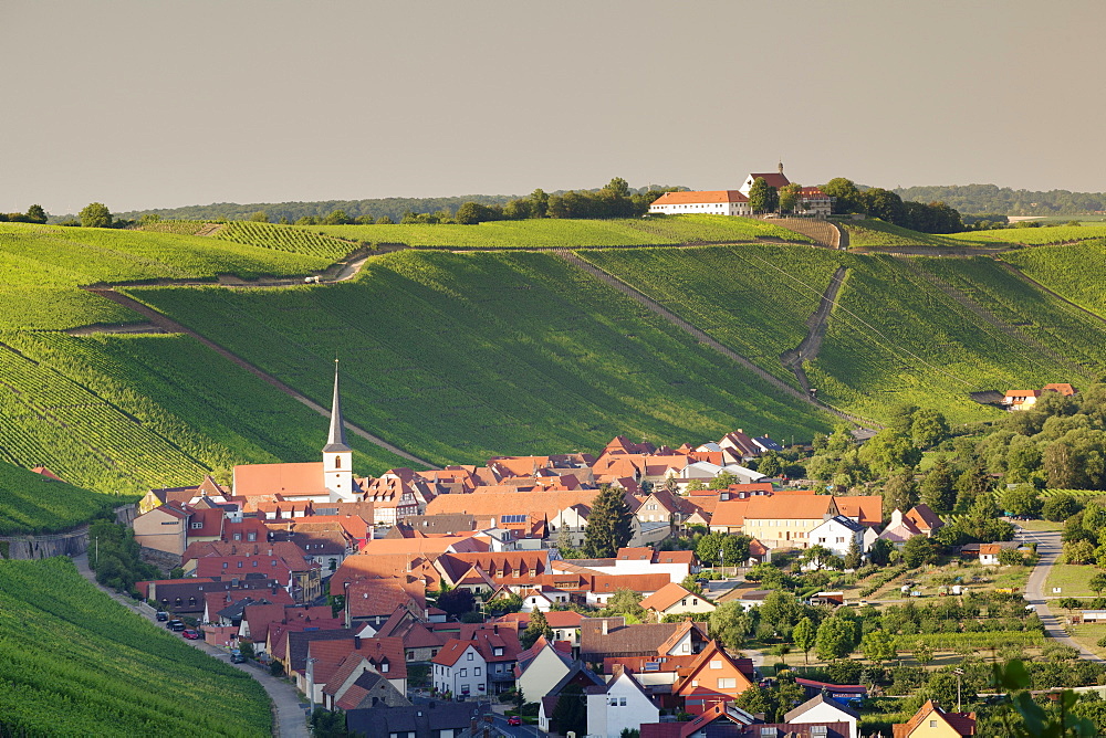 Wine village of Escherndorf and Vogelsburg Castle, Volkacher Mainschleife, Main River, Mainfranken, Lower Franconia, Bavaria, Germany, Europe