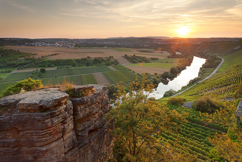 Hessigheim Felsengarten (Rock Gardens), Neckartal Valley, River Neckar, Baden Wurttemberg, Germany, Europe