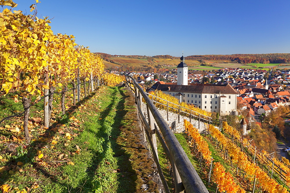 Schloss Horneck Palace on the Neckar River, Gundelsheim, Baden-Wurttemberg, Germany, Europe