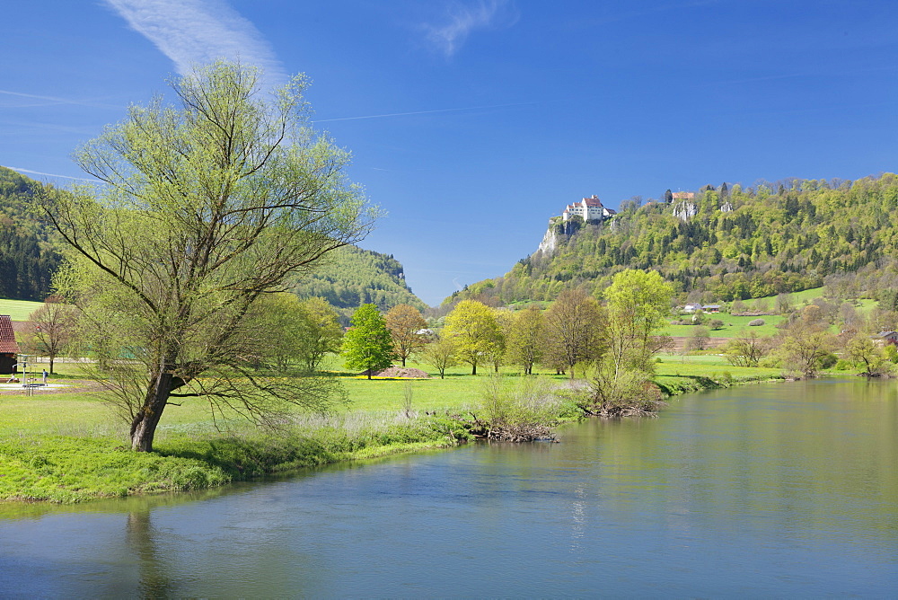 Schloss Werenwag (Werenwag Castle), Hausen an der Donau, Danube River, Danube Valley, Upper Danube Nature Park, Swabian Alb, Baden-Wurttemberg, Germany, Europe