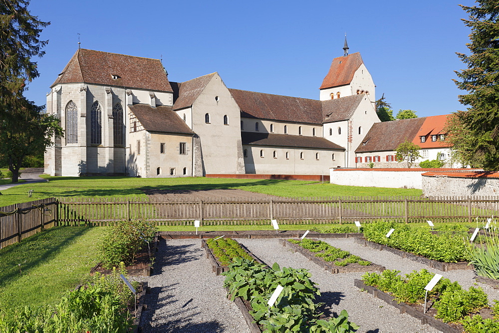 Herb garden, St. Maria und Markus Cathedral, Mittelzell, UNESCO World Heritage Site, Reichenau Island, Lake Constance, Baden-Wurttemberg, Germany, Europe