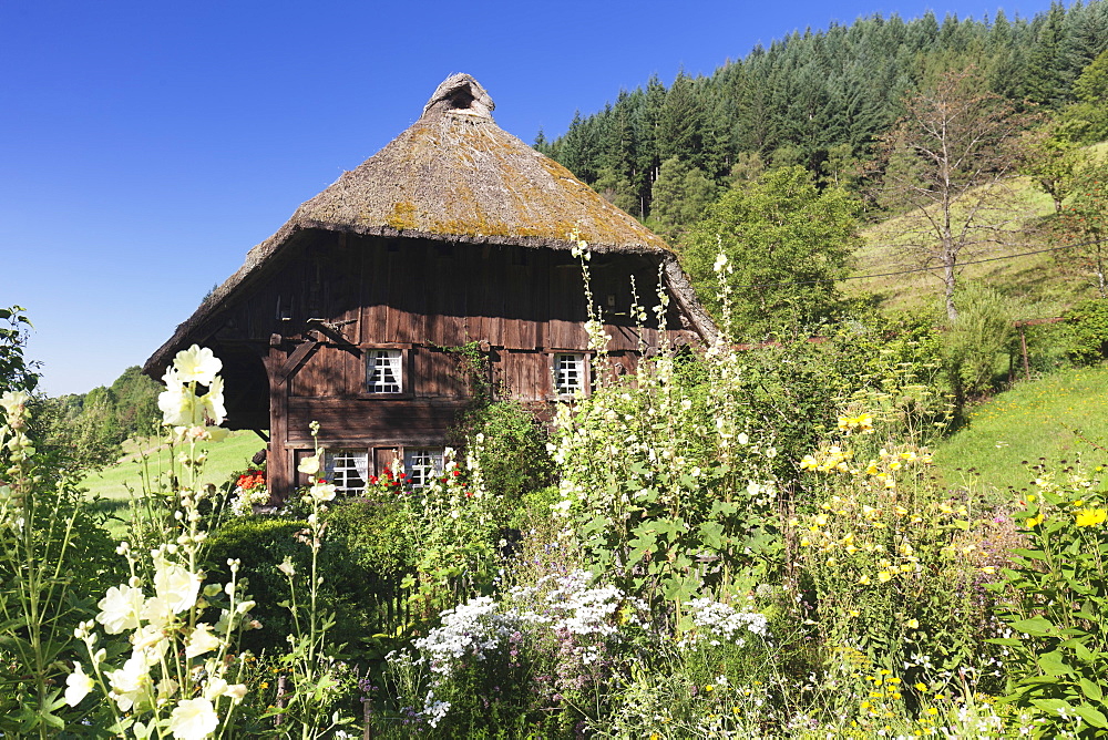 Landwasserhof Mill, farmhouse garden, Elzach, Black Forest, Baden-Wurttemberg, Germany, Europe