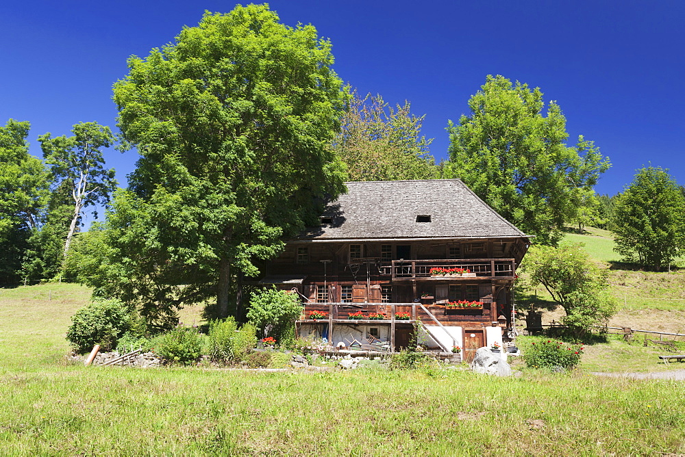 Oehlermuehle Mill, Schildwende, Jostal Valley, Titisee-Neustadt, Black Forest, Baden-Wurttemberg, Germany, Europe