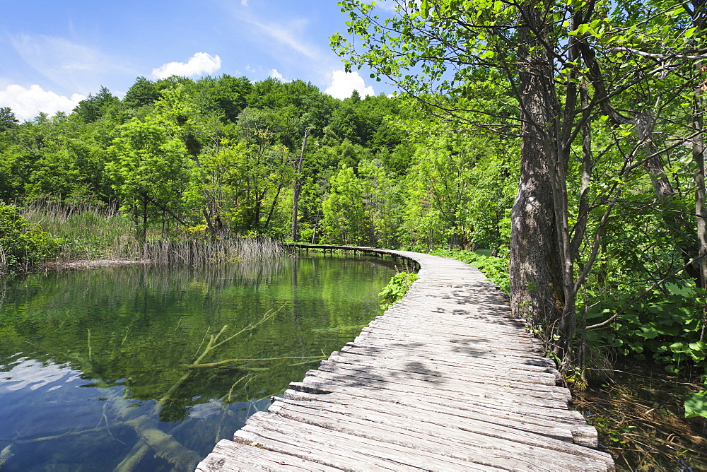 Plitvice Lakes National Park, UNESCO World Heritage Site, Croatia, Europe 