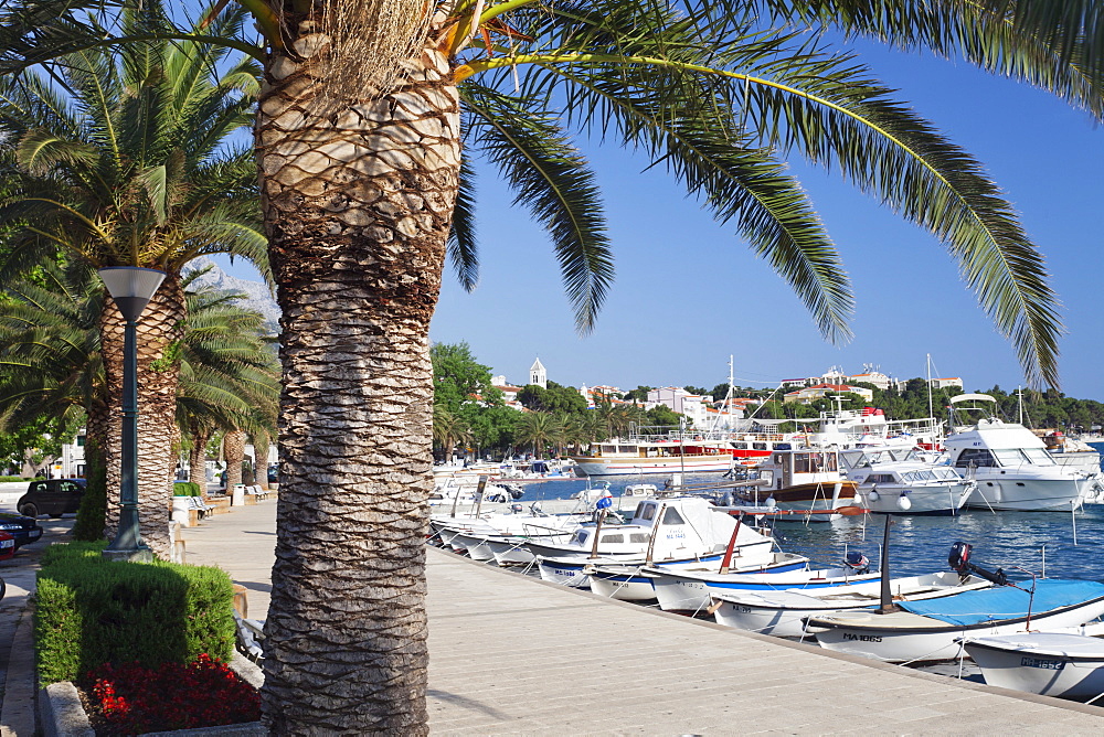 Marina and promenade, Baska Voda, Makarska Riviera, Dalmatia, Croatia, Europe 