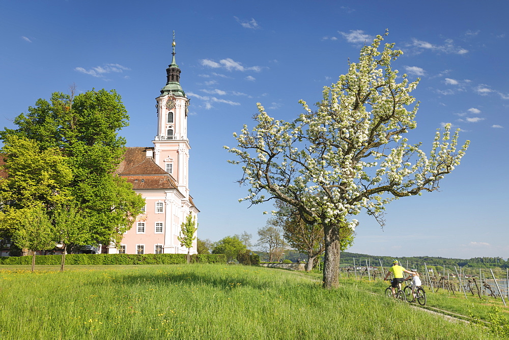 Birnau Pilgrimage Church, Unteruhldingen, Lake Constance, Baden-Wurttemberg, Germany, Europe