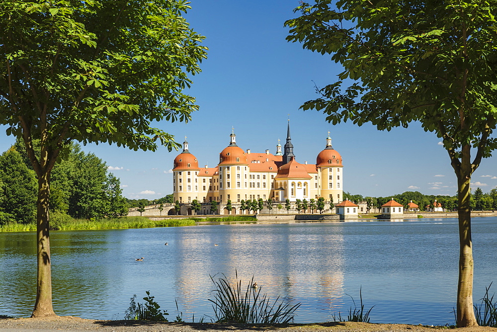 Moritzburg Castle, Moritzburg, Saxony, Germany, Europe