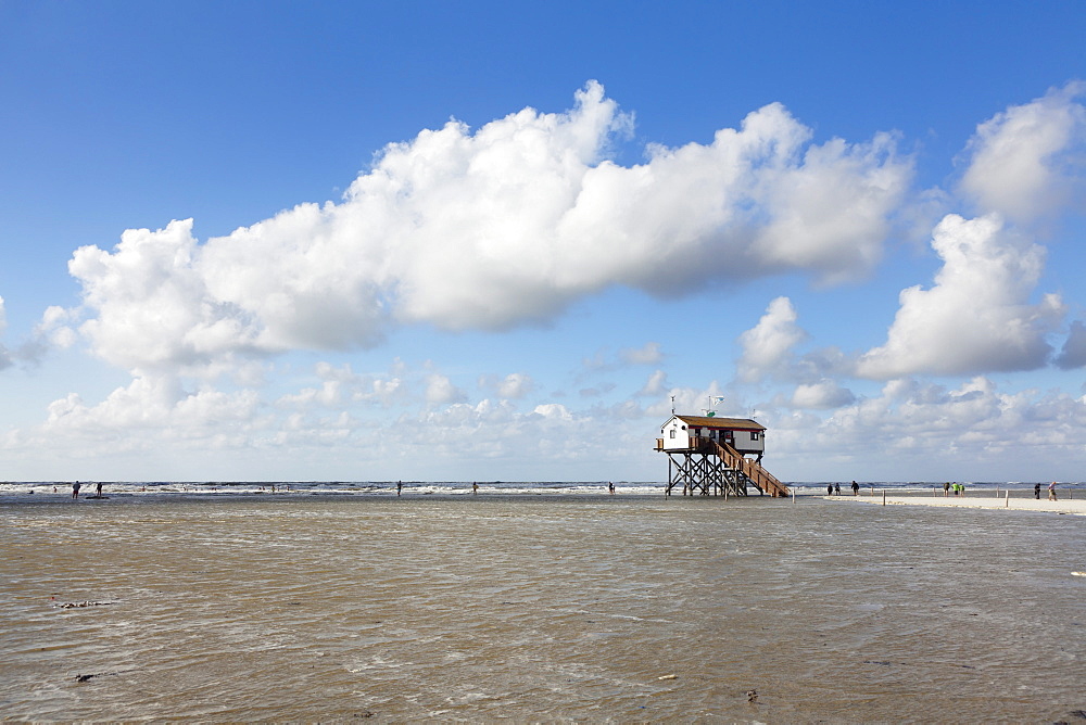 Stilt houses on a beach, Sankt Peter Ording, Eiderstedt Peninsula, Schleswig Holstein, Germany, Europe