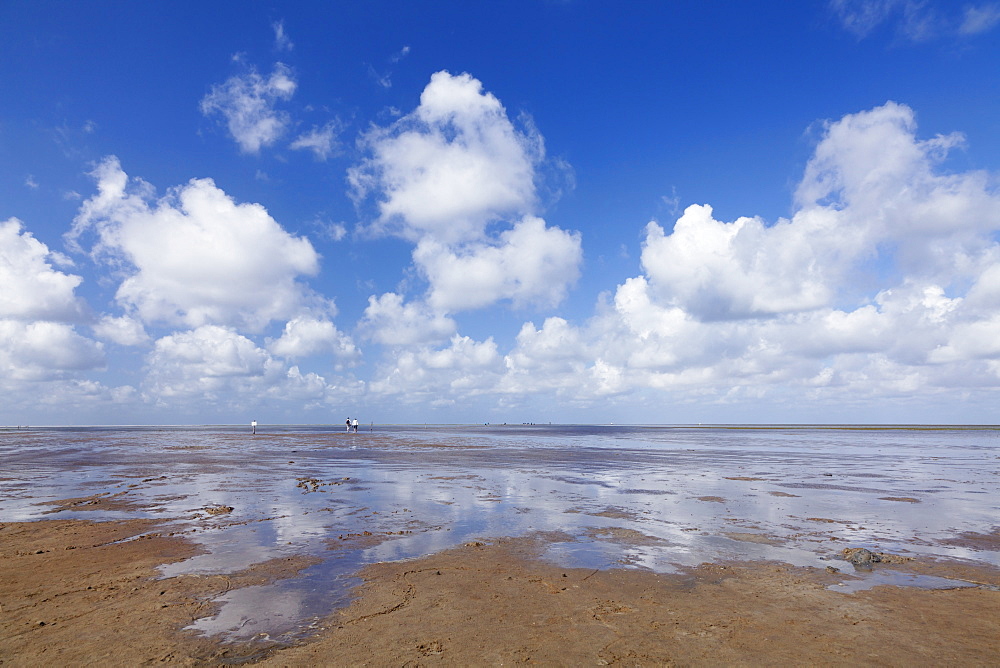 Wadden Sea at low tide, Wadden Sea National Park, Westerheversand, Eiderstedt Peninsula, Schleswig Holstein, Germany, Europe