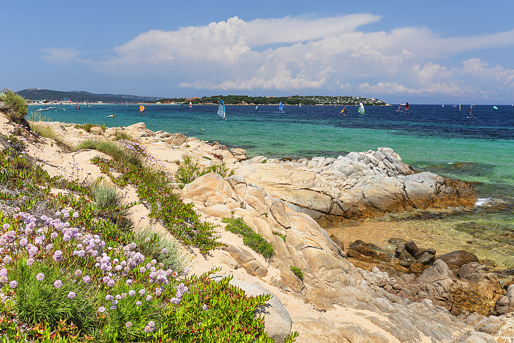 Kitesurfers, Bay of Porto Pollo, Porto Puddu, Gallura, Sardinia, Italy, Mediterranean, Europe