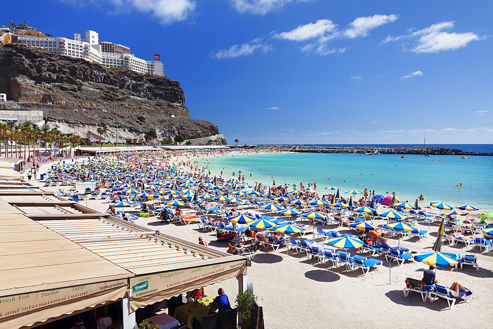 Playa de los Amadores, Gran Canaria, Canary Islands, Spain, Atlantic, Europe