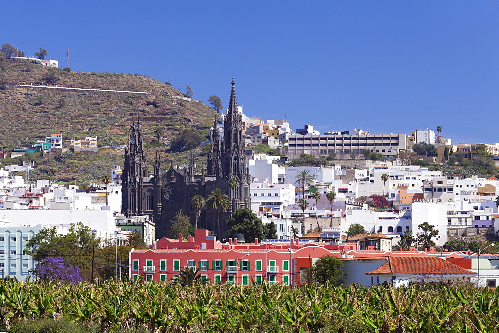 Cathedral Iglesia de San Juan de Bautista, Arucas, Gran Canaria, Canary Islands, Spain, Atlantic, Europe 