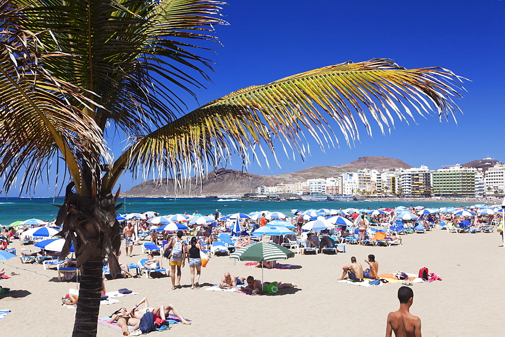 Playa de las Canteras, Las Palmas, Gran Canaria, Canary Islands, Spain, Atlantic, Europe