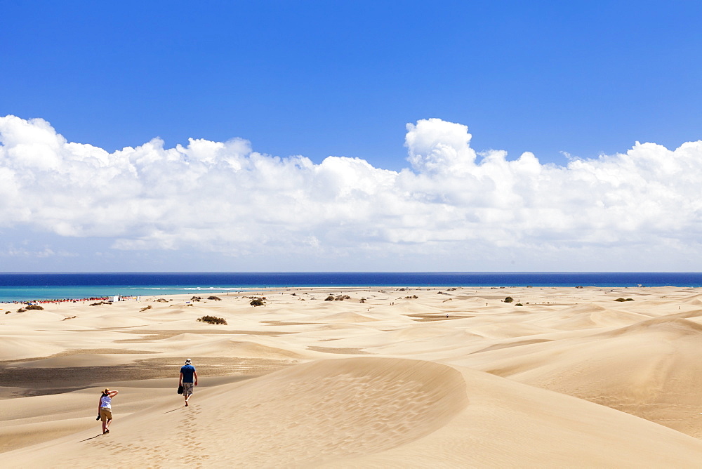 Sand dunes of Maspalomas, Maspalomas, Gran Canaria, Canary Islands, Spain, Atlantic, Europe 