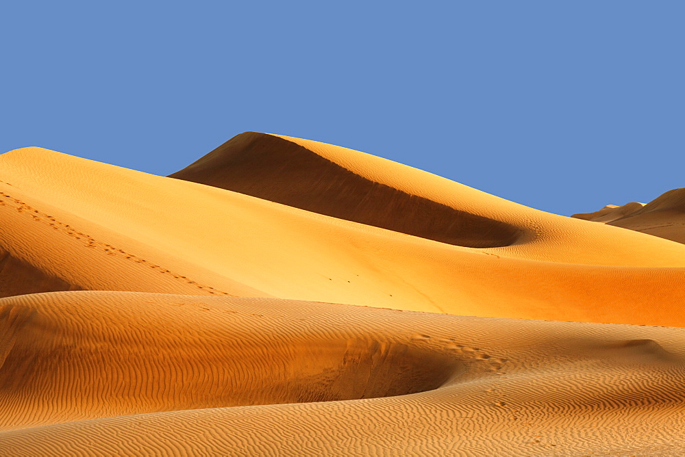 Sand dunes of Maspalomas at sunset, Maspalomas, Gran Canaria, Canary Islands, Spain, Atlantic, Europe 