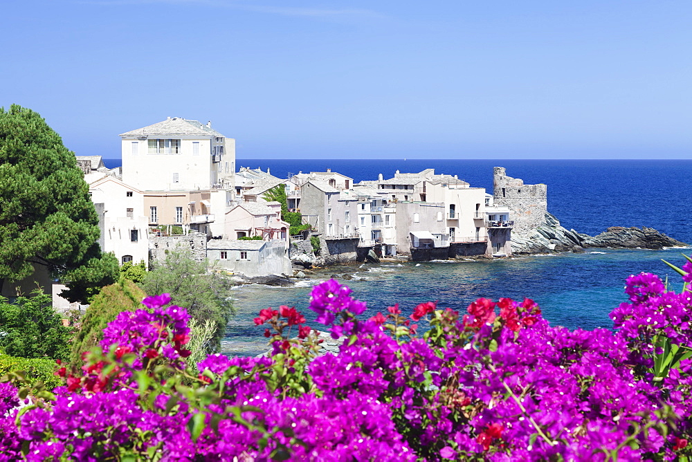 Erbalunga, Corsica, France, Mediterranean, Europe 