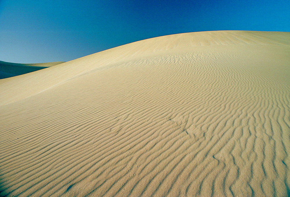 Footprints through the sand  ridges in the desert at Qatar