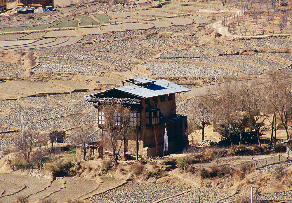 Farm and rice terraces in Bhutan