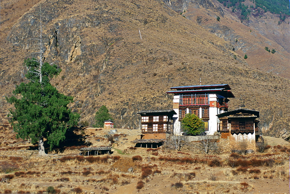 Traditional chalet style housing in Bhutan.