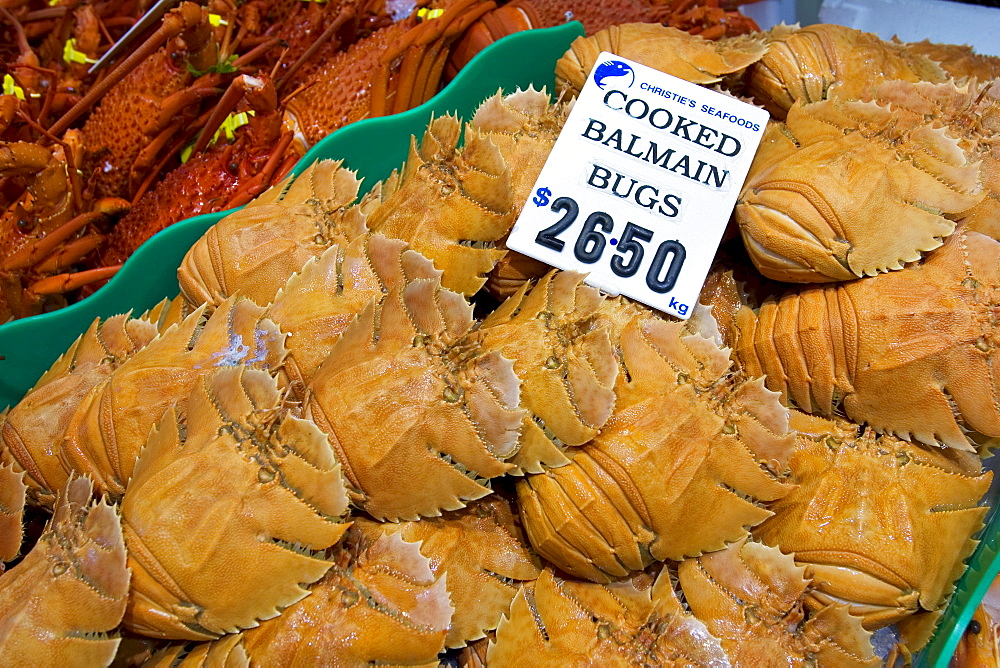 Cooked Balmain Bugs for sale at Sydney Fish Market, Darling Harbour, Australia