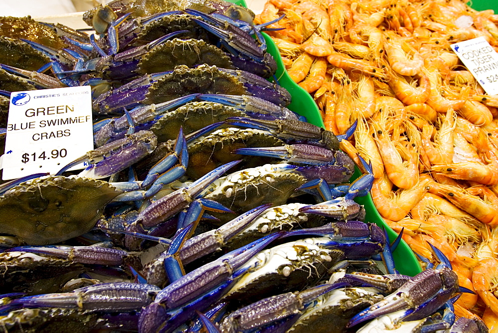 Green Blue Swimmer crabs and cooked Tiger prawns for sale at Sydney Fish Market, Darling Harbour, Australia