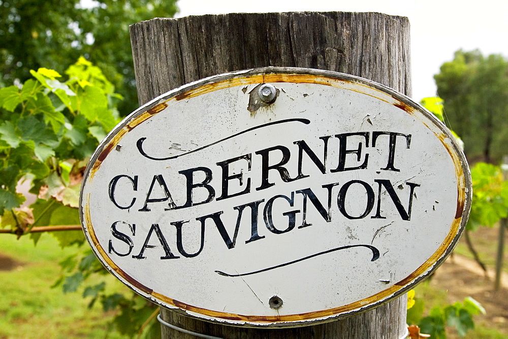 Cabernet Sauvignon sign in the Pepper Tree Winery, Hunter Valley, Australia