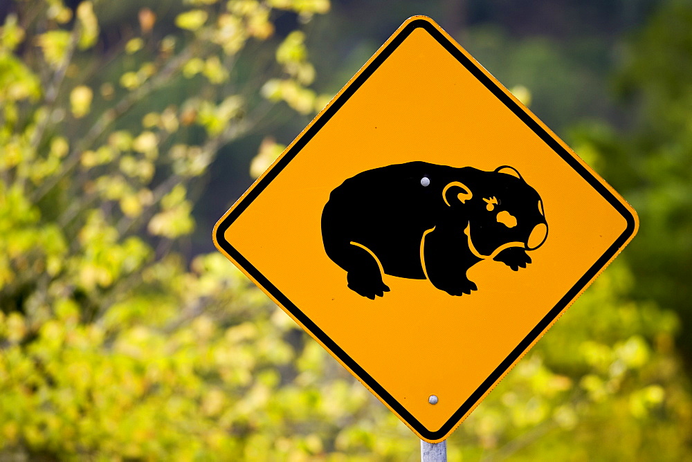 Wombat road warning sign, near Wollombi, Australia