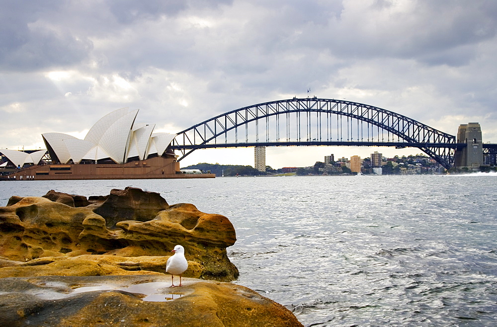 Sydney Opera House and Sydney Harbour Bridge, Australia