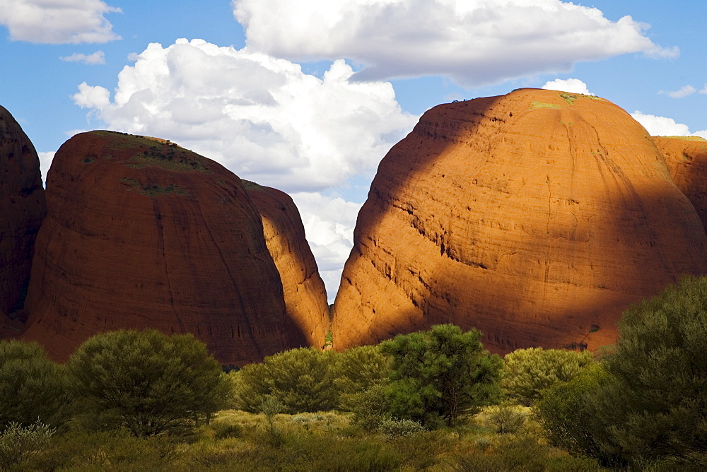 The Olgas, Kata Tjuta, Red Centre, Northern Territory, Australia