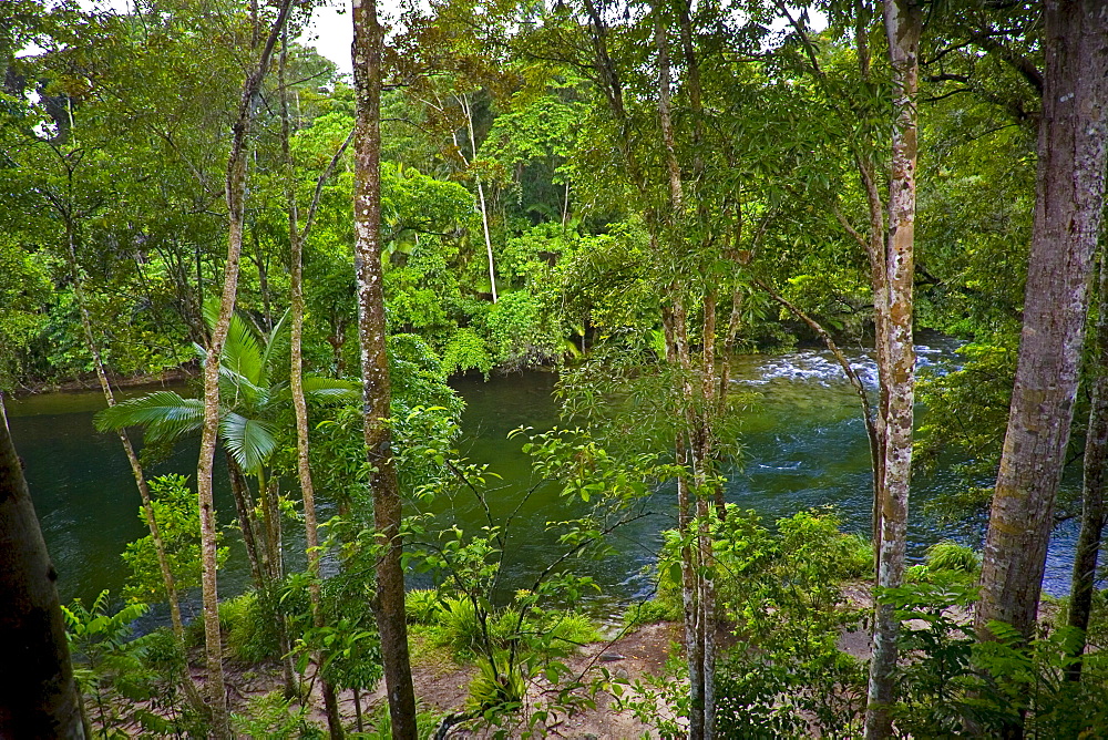 Mossman River in the Daintree Rainforest, Far North Queensland, Australia