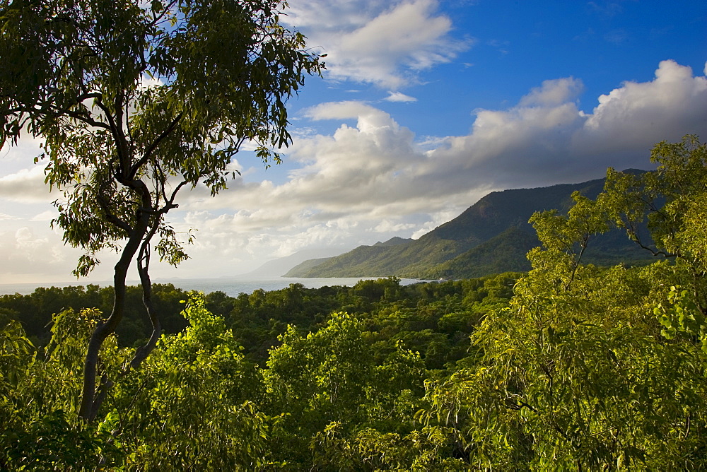 View of Thala Beach and the Coral Sea from Thala Beach Lodge, Port Douglas, Australia