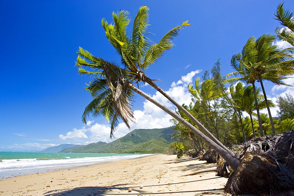 Thala Beach and the Coral Sea, Port Douglas, Australia