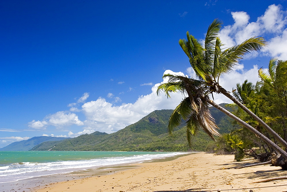 Thala Beach and the Coral Sea, Port Douglas, Australia