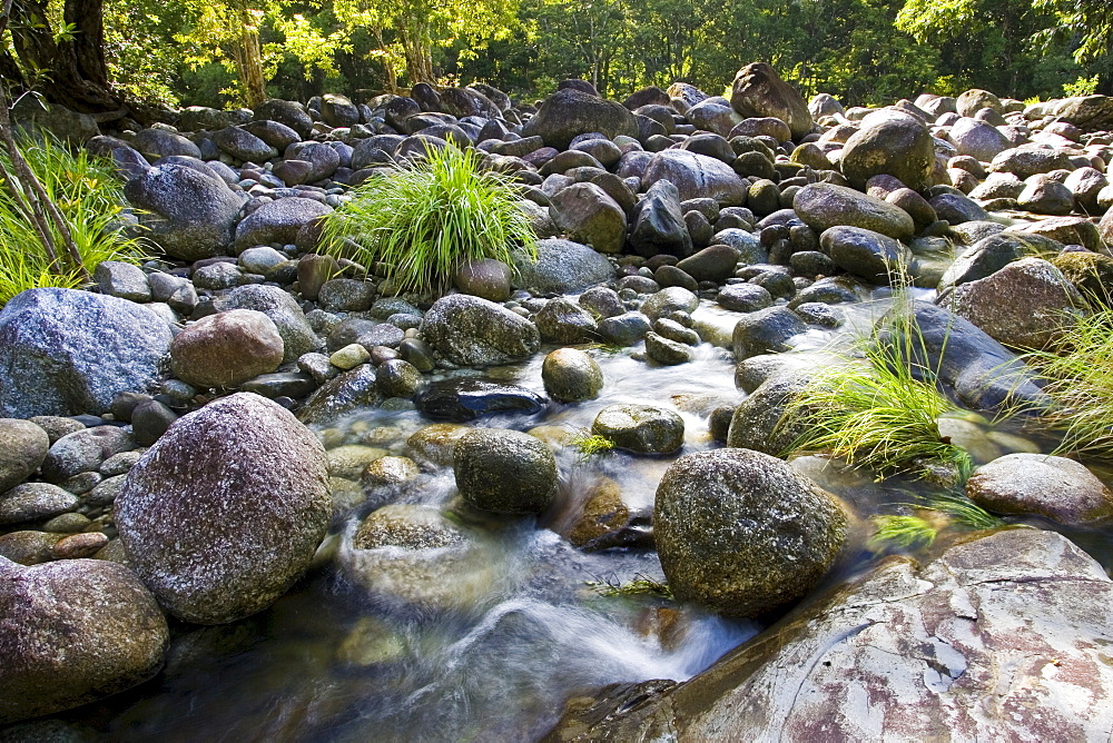 The Mossman riverbed, Daintree Rainforest, Queensland, Australia