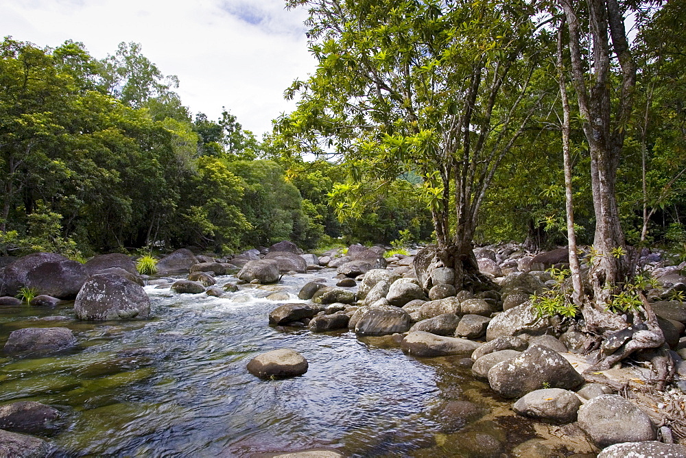 The Mossman River in the Daintree Rainforest, Queensland, Australia