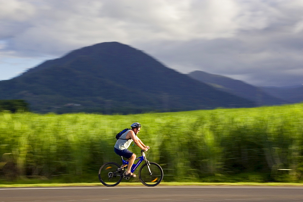 Cyclist passes a sugar cane field at Freshwater Connection, Australia