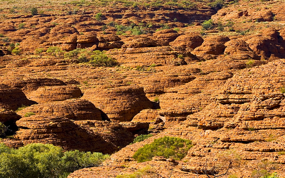 Sandstone domes at King's Canyon, Northern Territory, Red Centre, Australia