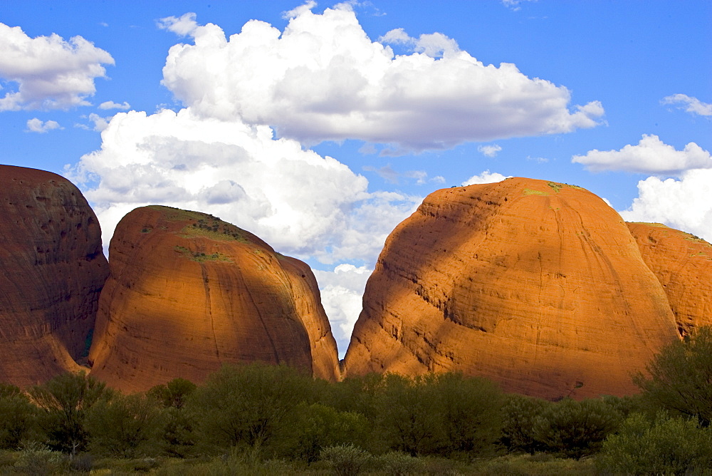 The Olgas, Kata Tjuta, Red Centre, Northern Territory, Australia