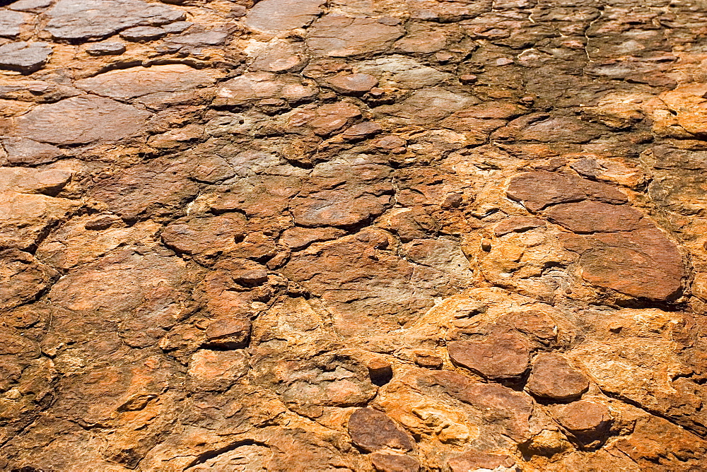 Cracked Mereenie sandstone at King's Canyon, Northern Territory, Australia