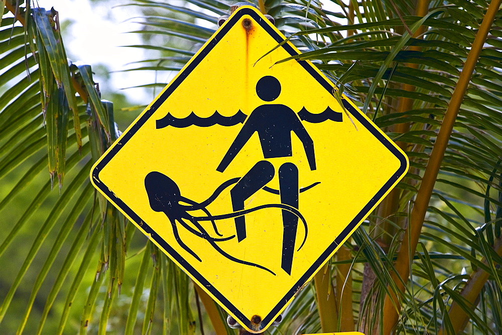 Marine stingers warning sign on Myall Beach by Cape Tribulation, Queensland, Australia