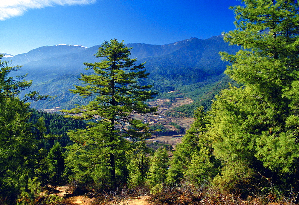 Bhutan landscape