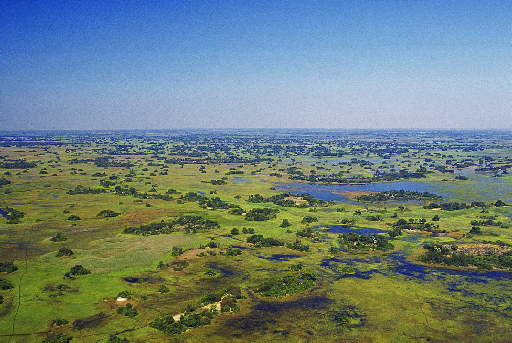 Aerial view, Okavango Delta, Botswana, Africa