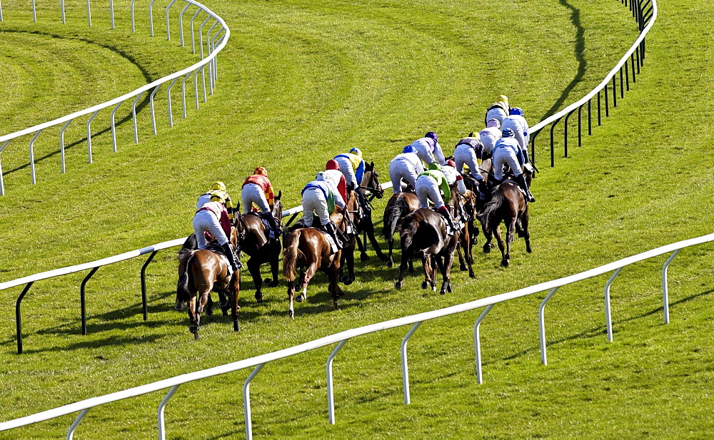 The National Hunt Festival at Cheltenham Races