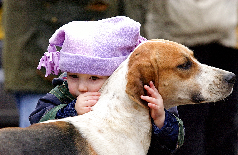 A toddler crying whilst embracing a foxhound before the Heythrop New Year's Day Hunt in the Market Place in Stow on the Wold, Oxfordshire