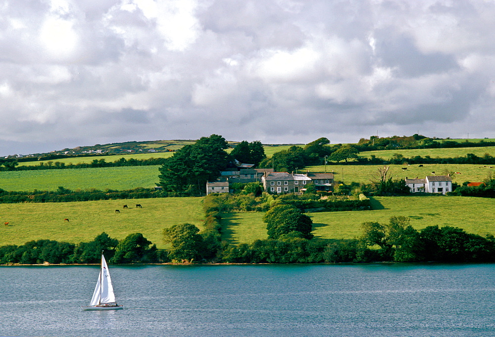 A sailing boat on the Helford River, Cornwall