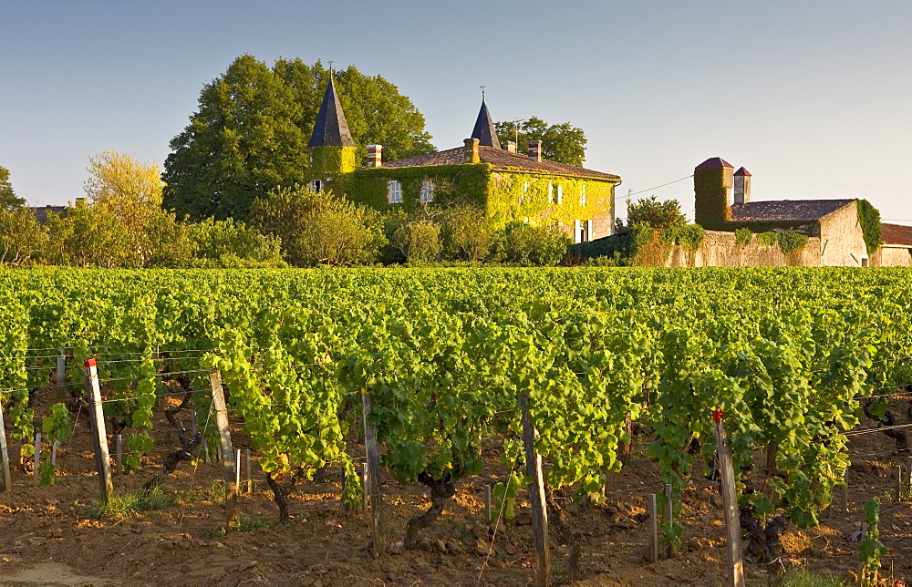 Chateau Coutet, Barsac region, Bordeaux, France.