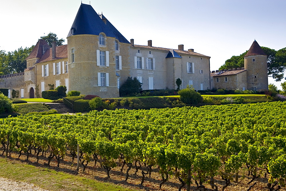 Chateau d'Yquem, Sauternes, France.