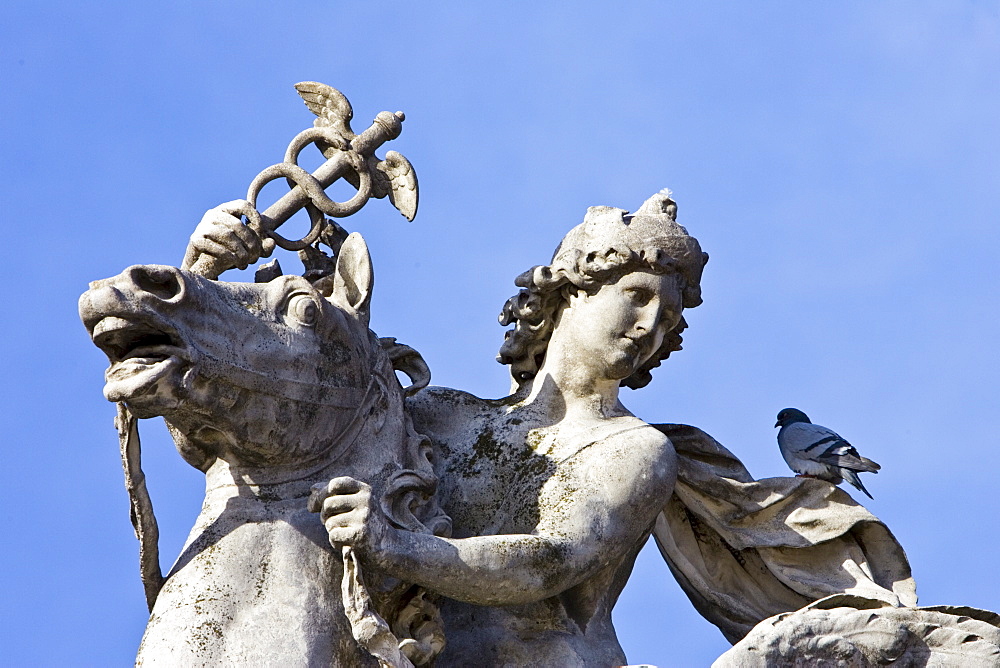 Pigeon rests on horse and rider statue in Place de la Concorde, Paris, France